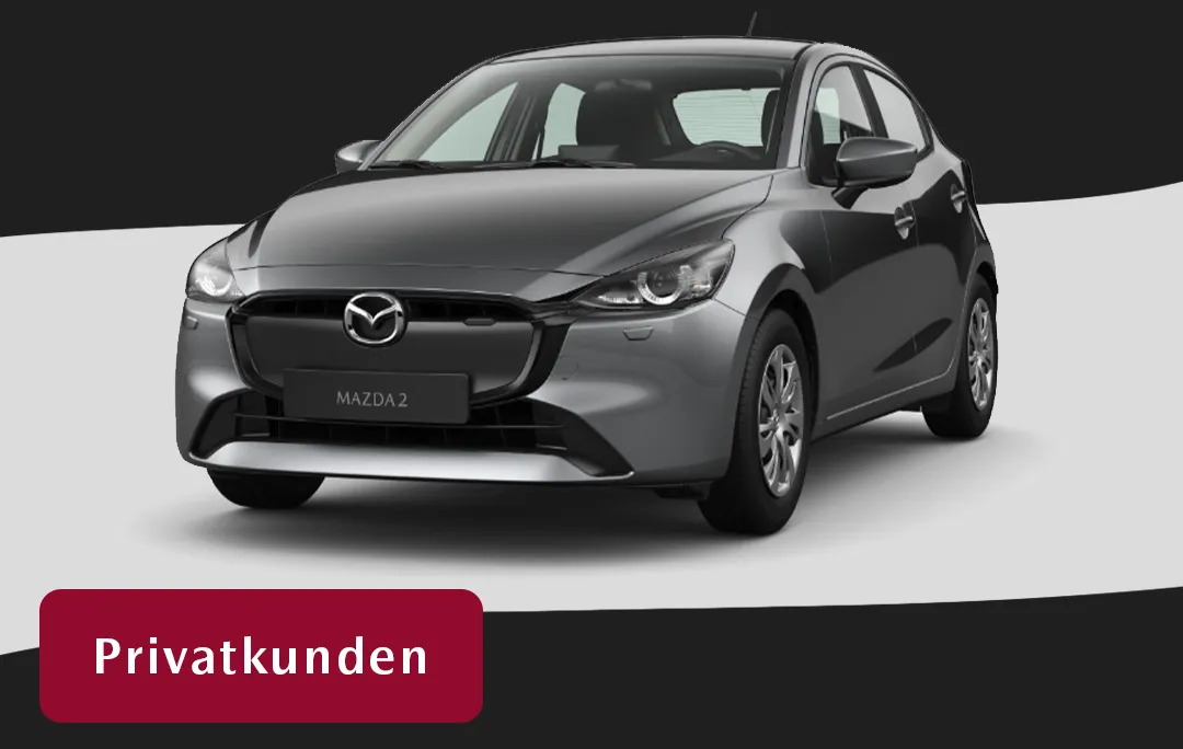 Modellansicht eines Mazda 2 in der Farbe grau-metallic.